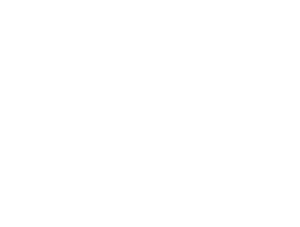 rai1 logo